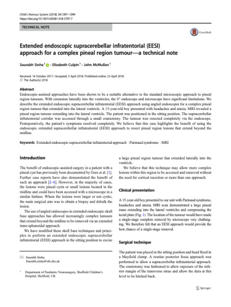 Eesi Inlet Extended endoscopic supracerebellar infratentorial (EESI) approach for ...
