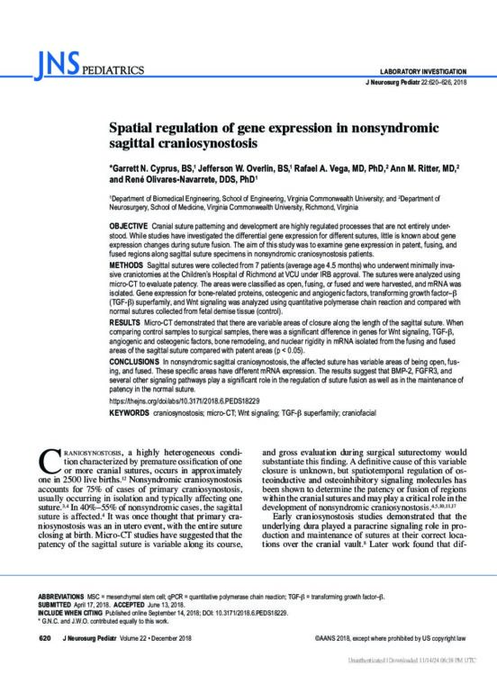 Spatial regulation of gene expression in nonsyndromic sagittal craniosynostosis
