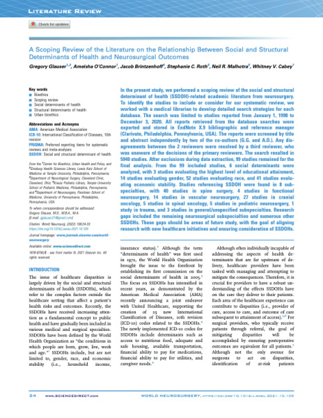 A Scoping Review of the Literature on the Relationship Between Social ...