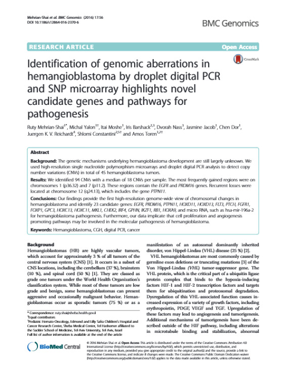 Identification of Genomic Aberrations in Hemangioblastoma by Droplet Digital PCR and SNP Microarray Highlights Novel Candidate Genes and Pathways for Pathogenesis