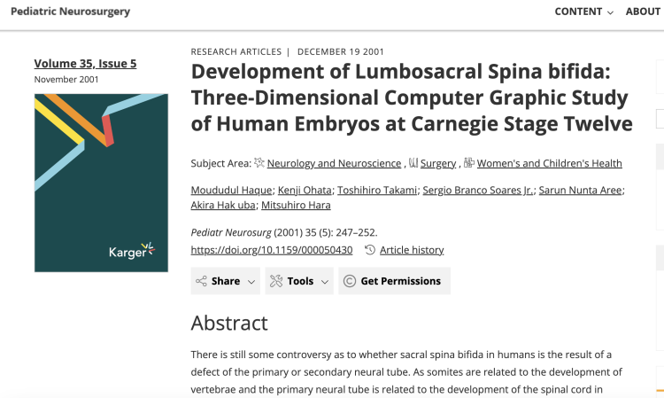 Development of lumbosacral spina bifida: Three-dimensional computer graphic study of human embryos at carnegie stage twelve