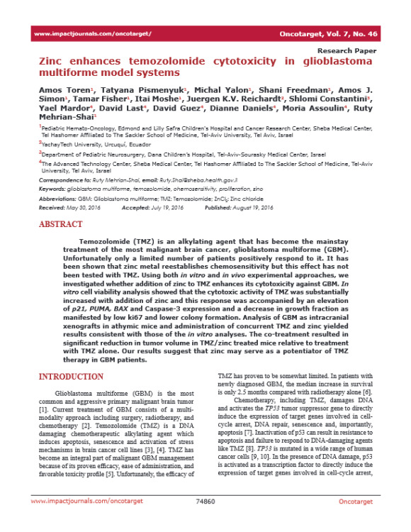 Zinc Enhances Temozolomide Cytotoxicity in Glioblastoma Multiforme Model Systems